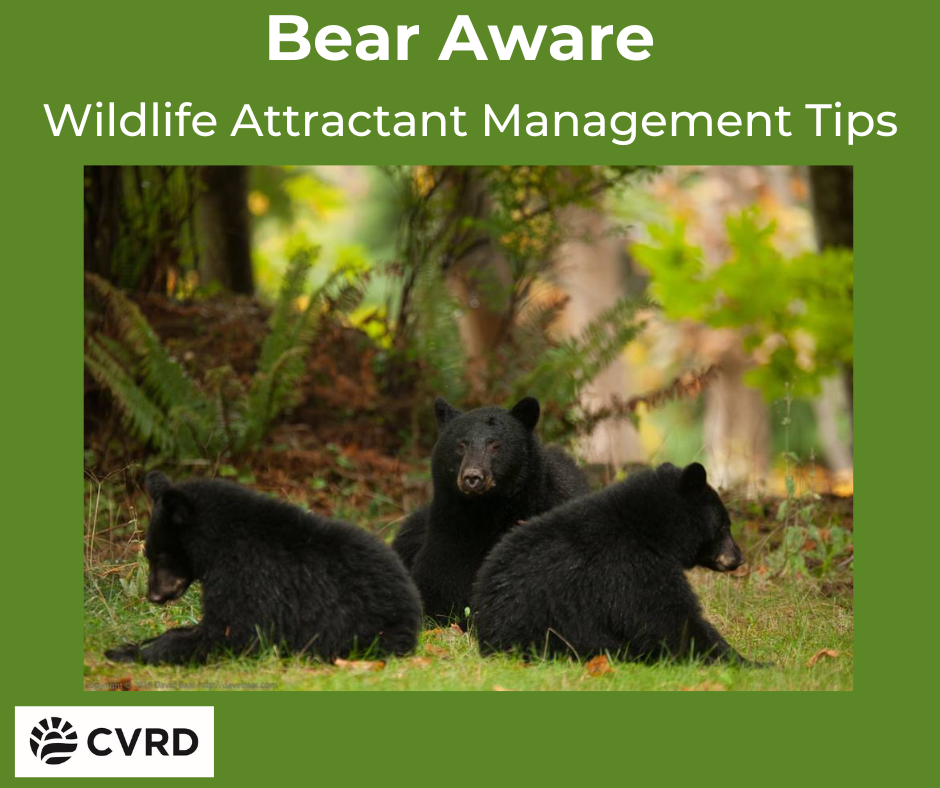 Bear Aware
